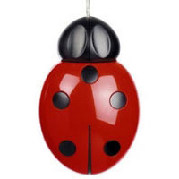 Pat says now Ladybug (5225)